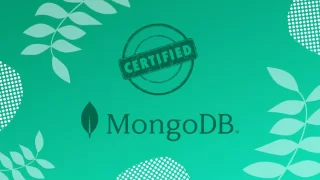 Certified MongoDB Database Administrator - Practice Tests